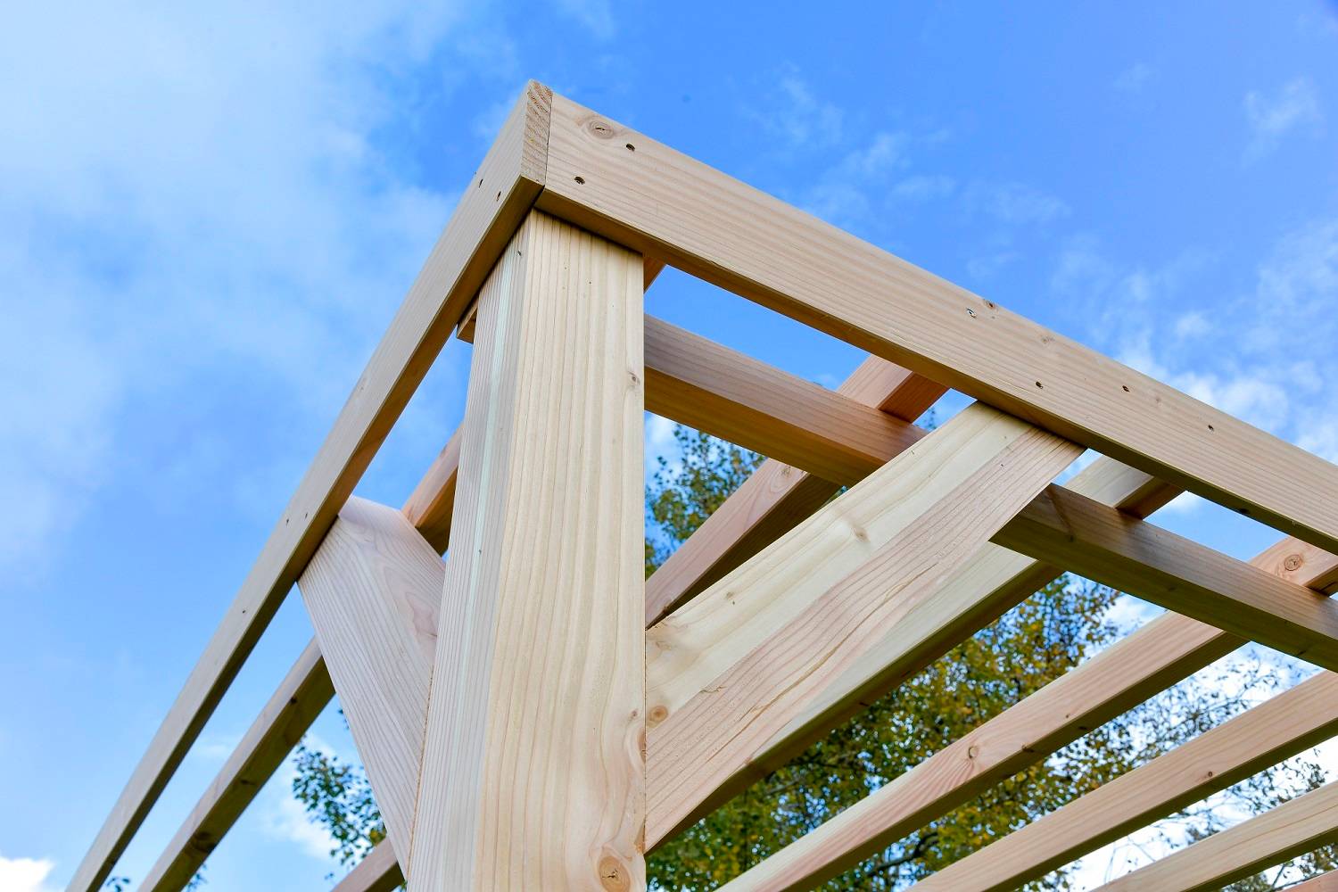 Mon Petit Potager - Pergola en bois Douglas - mon PETIT POTAGER - Image 7