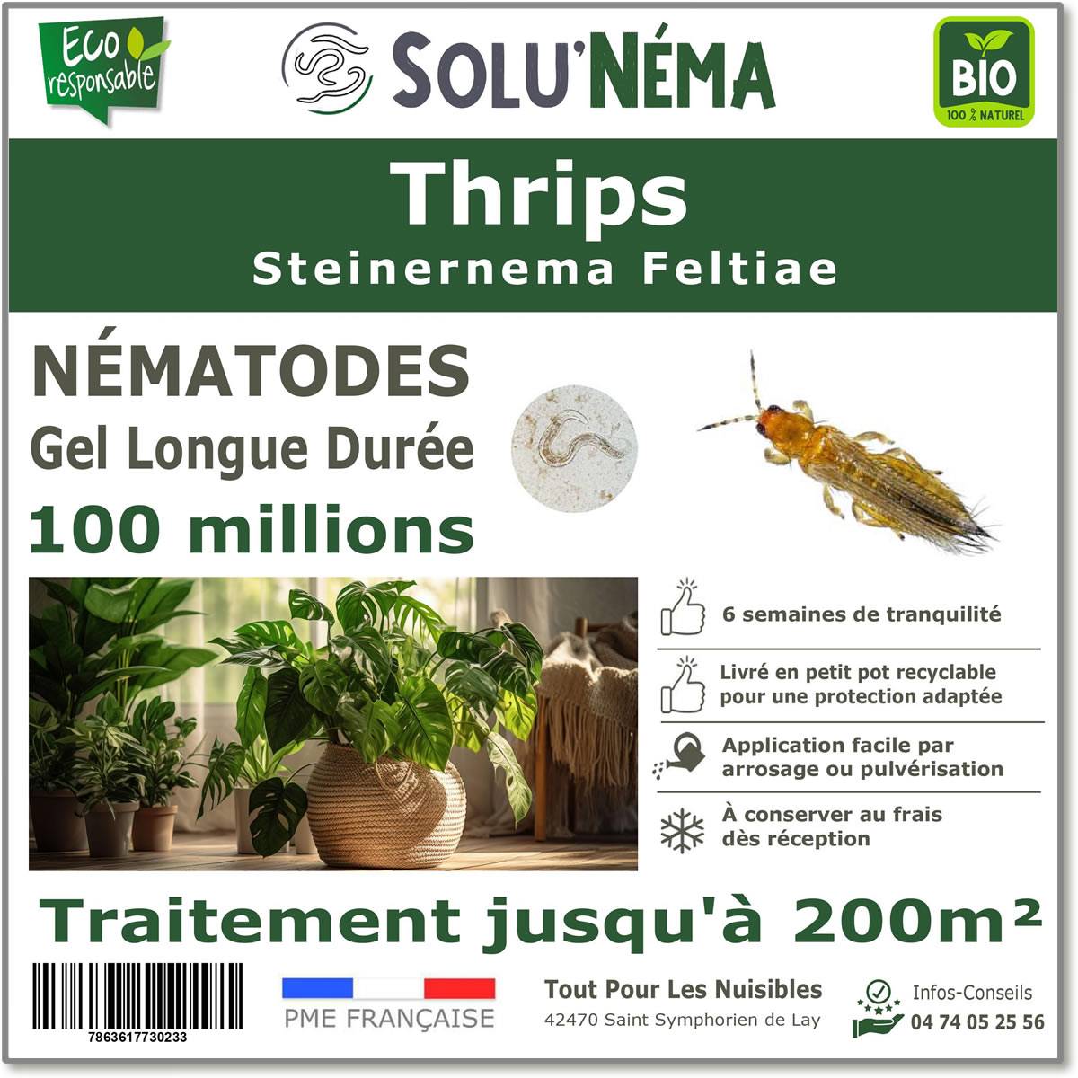 Tout pour les nuisibles - Solunéma - Thrips - Traitement à base de nématodes Steinernema Feltiae (SF) - 100 millions pour traiter jusqu'à 200 m²