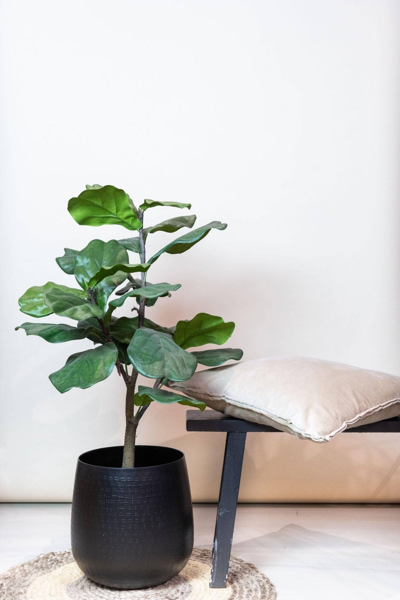 La Green Touch - Ficus Lyrata plante artificielle - h100cm, Ø12cm- La Green Touch - Imagen 4