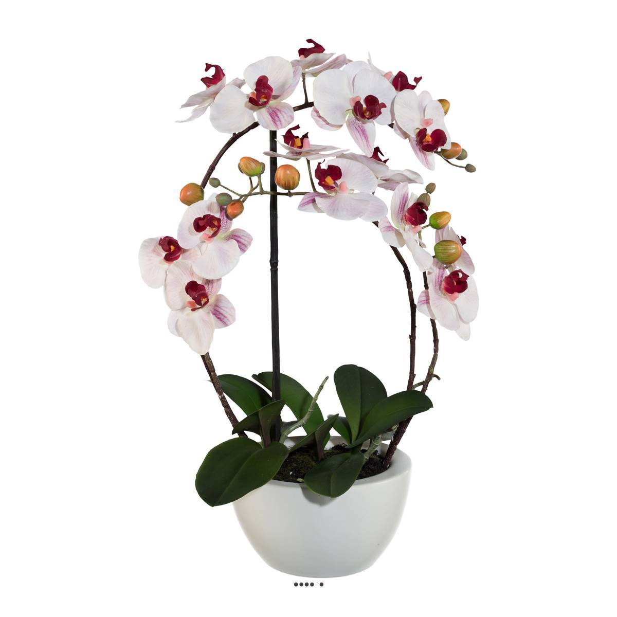 Artificielles - Orchidée factice 4hampes coupe céramique H60cm touché réel Rose-crème - couleur: Rose-crème - Imagen 1