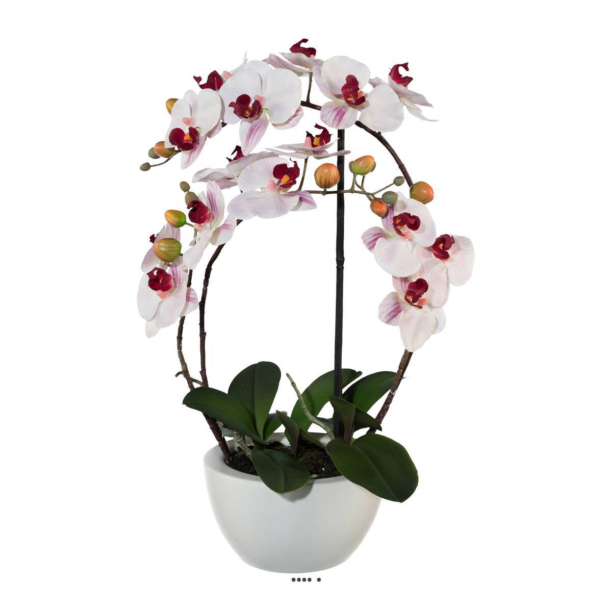 Artificielles - Orchidée factice 4hampes coupe céramique H60cm touché réel Rose-crème - couleur: Rose-crème - Imagen 2