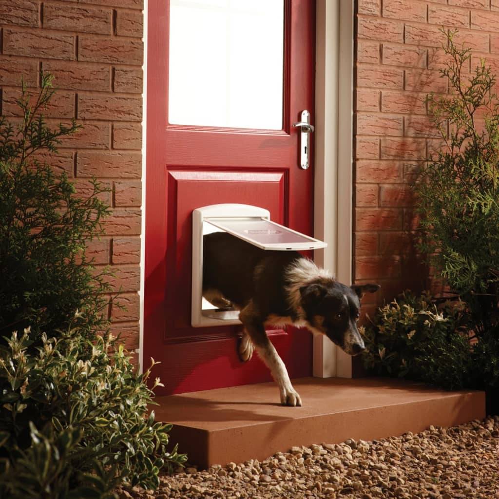 CLP - PetSafe Puerta de 2 vías para perros 740 Medium 26,7 x 22,8 cm Blanco - Imagen 2