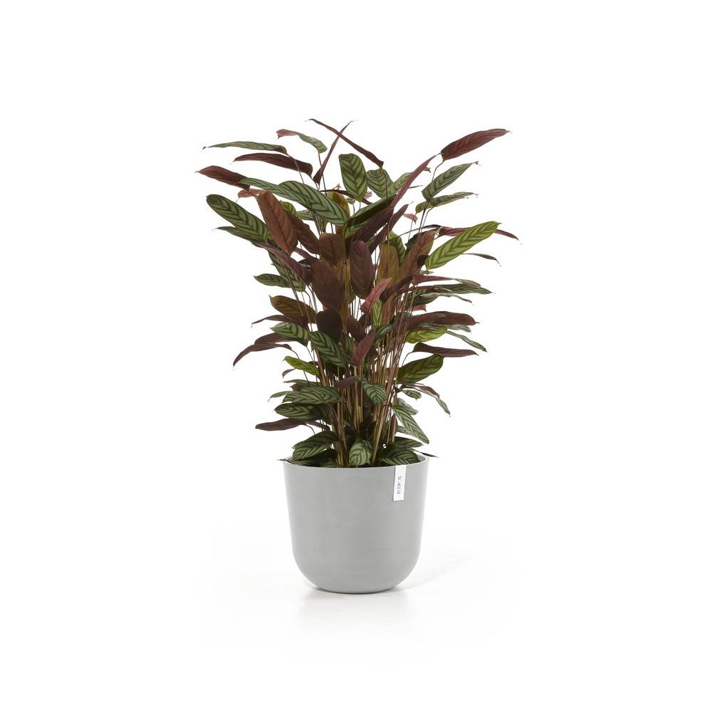Ecopots - Pot Rond Oslo 35 Blanc Gris - Ø 35 x H. 30,5 cm - 21,7 L ECOPOTS - Imagen 2