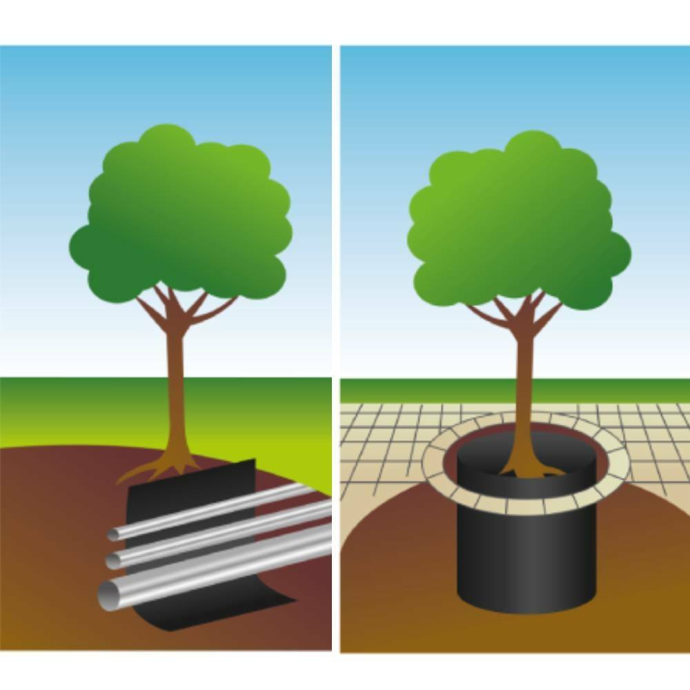 Terre Jardin - Barrière anti rhizome, racines, bambous rouleau de 5 mètres - Image 9