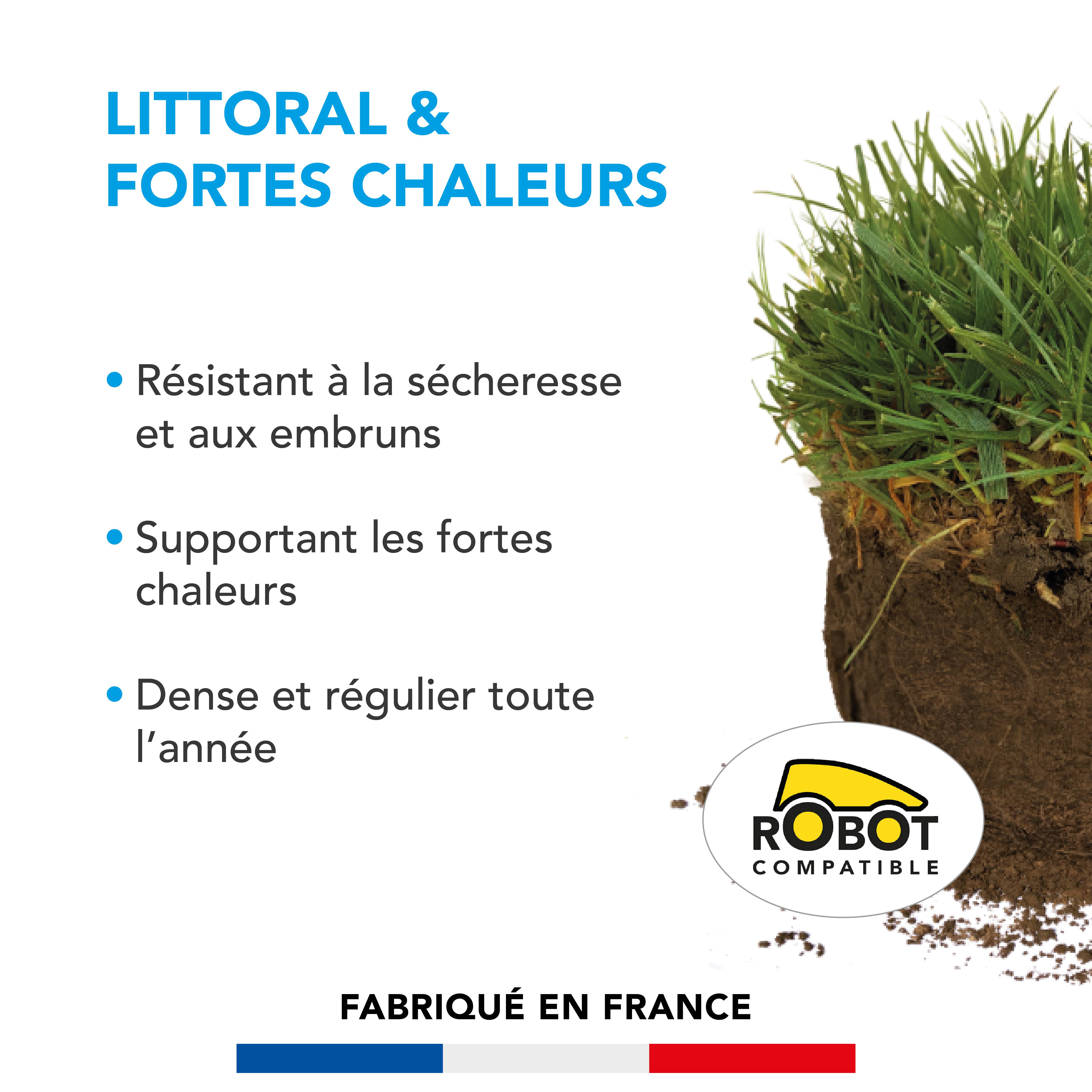 Gazon Littoral & Fortes chaleurs - Résistant Sécheresse et Embruns - Supportant Fortes Chaleurs - Dense et Régulier Toute l'Année - 15KG - BARENBRUG - Image 2
