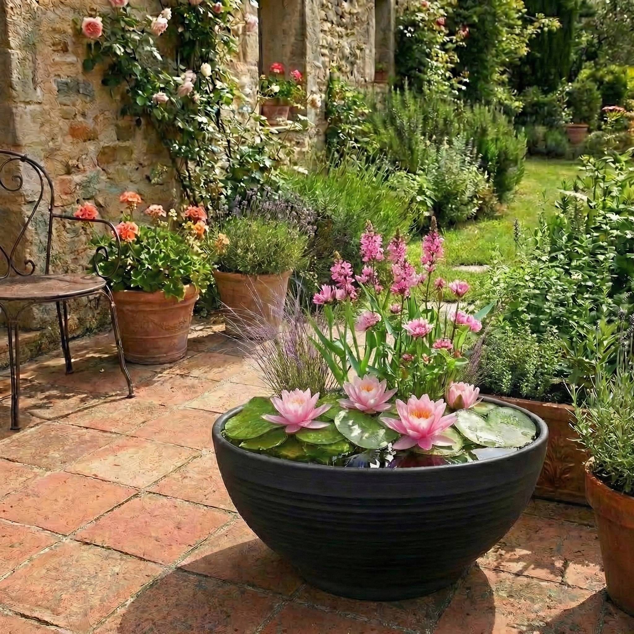 0 - Mini Bassin Set Complet Rose 25-90L - 11 Plantes et Bactéries - Image 2