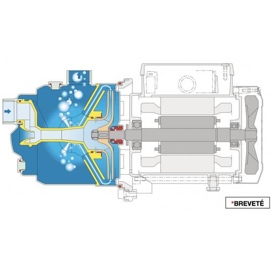 Pompe a eau domestique Calpeda NGX416 1,10 KW - Triphasé 380V - Jusqu'à 4,5 M3/H - Approvisionnement en eau - Pompage d'eau - Augmenter la pression de - Image 6