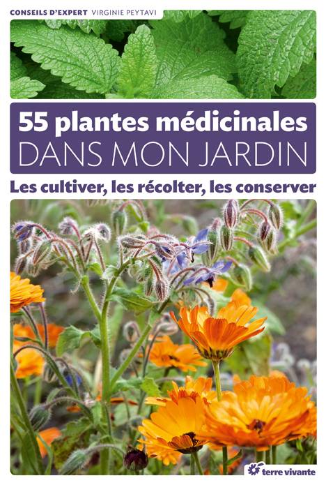 Promesse de Fleurs - 55 plantes médicinales dans mon jardin