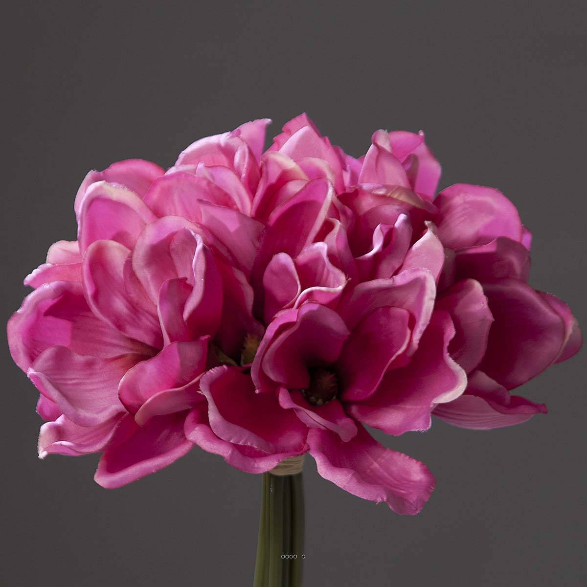 Artificielles - Bouquet de magnolias artificiels Fuchsia 7 têtes Hauteur 24 cm - couleur: Rose fushia 730 - Imagen 2