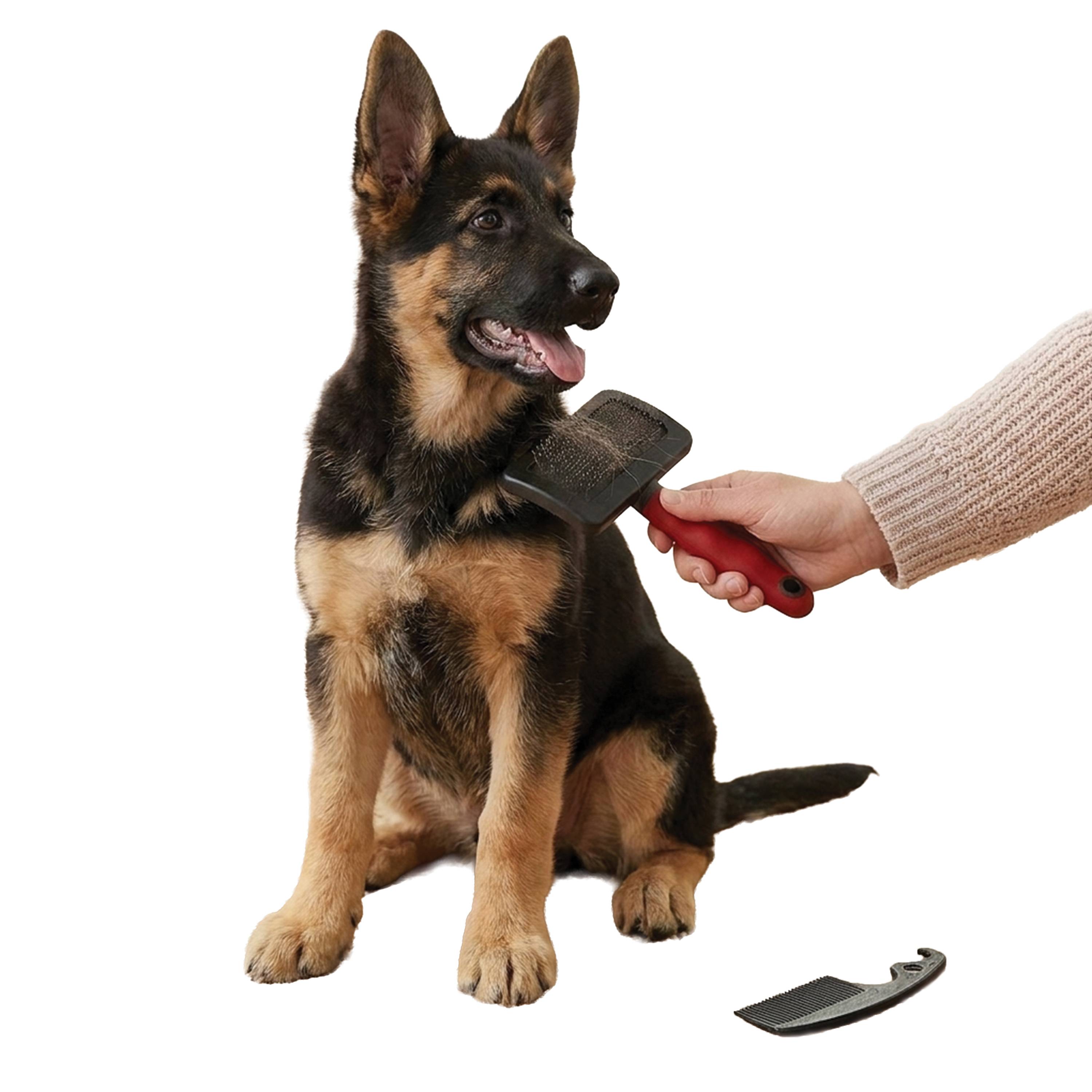 Ferplast - GRO 5946 LARGE Ferplast brosse chiens chats poil moyen long sous-poil - Image 4