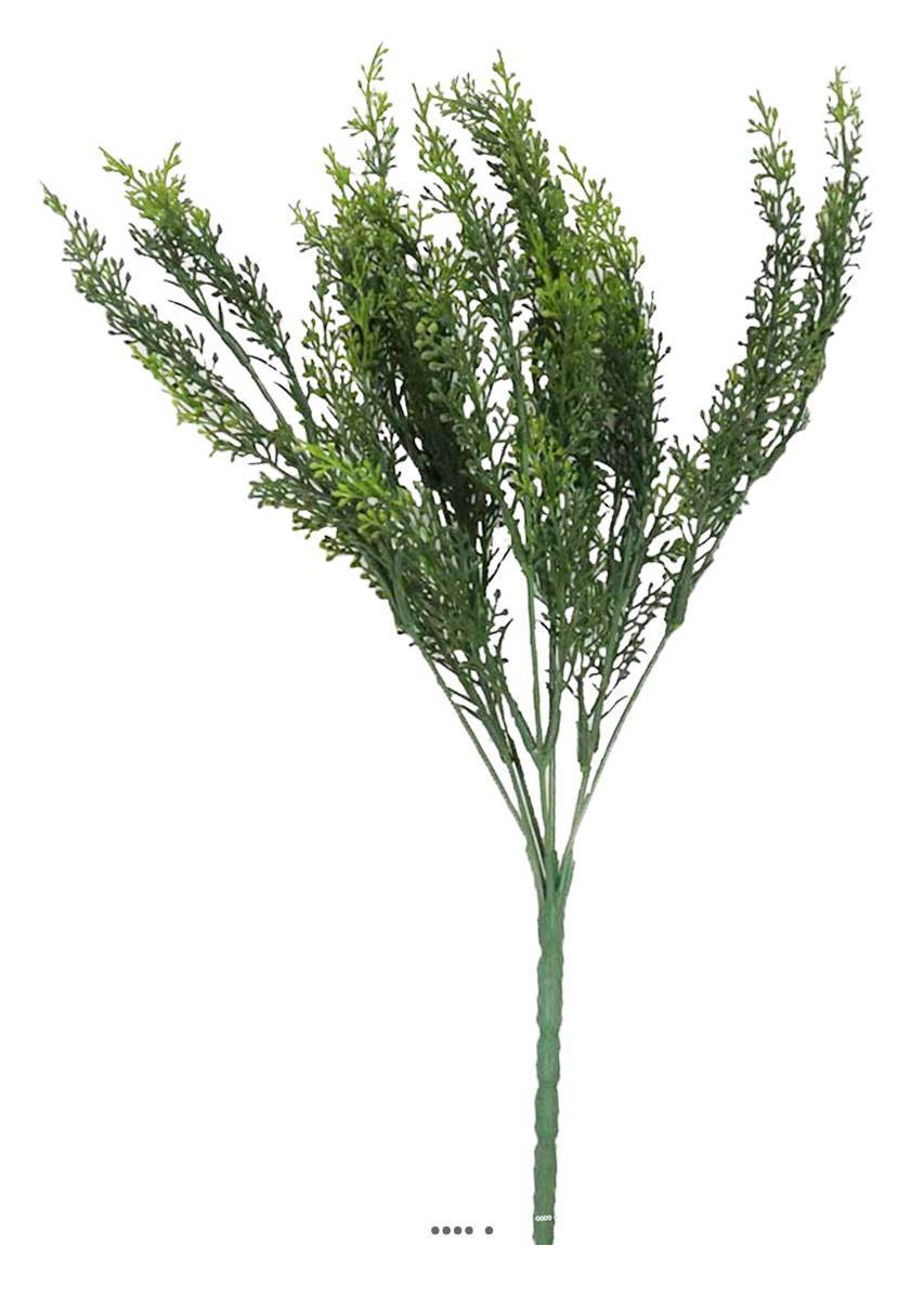 Artificielles - Setaire Isolepsis factice H35cm superbe buisson très dense en piquet - Imagen 1