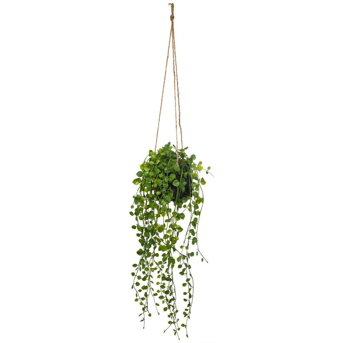 Atmosphera - Plante artificielle à suspendre "Living" pot ciment D10cm - Atmosphera Créateur d'intérieur - Image 1