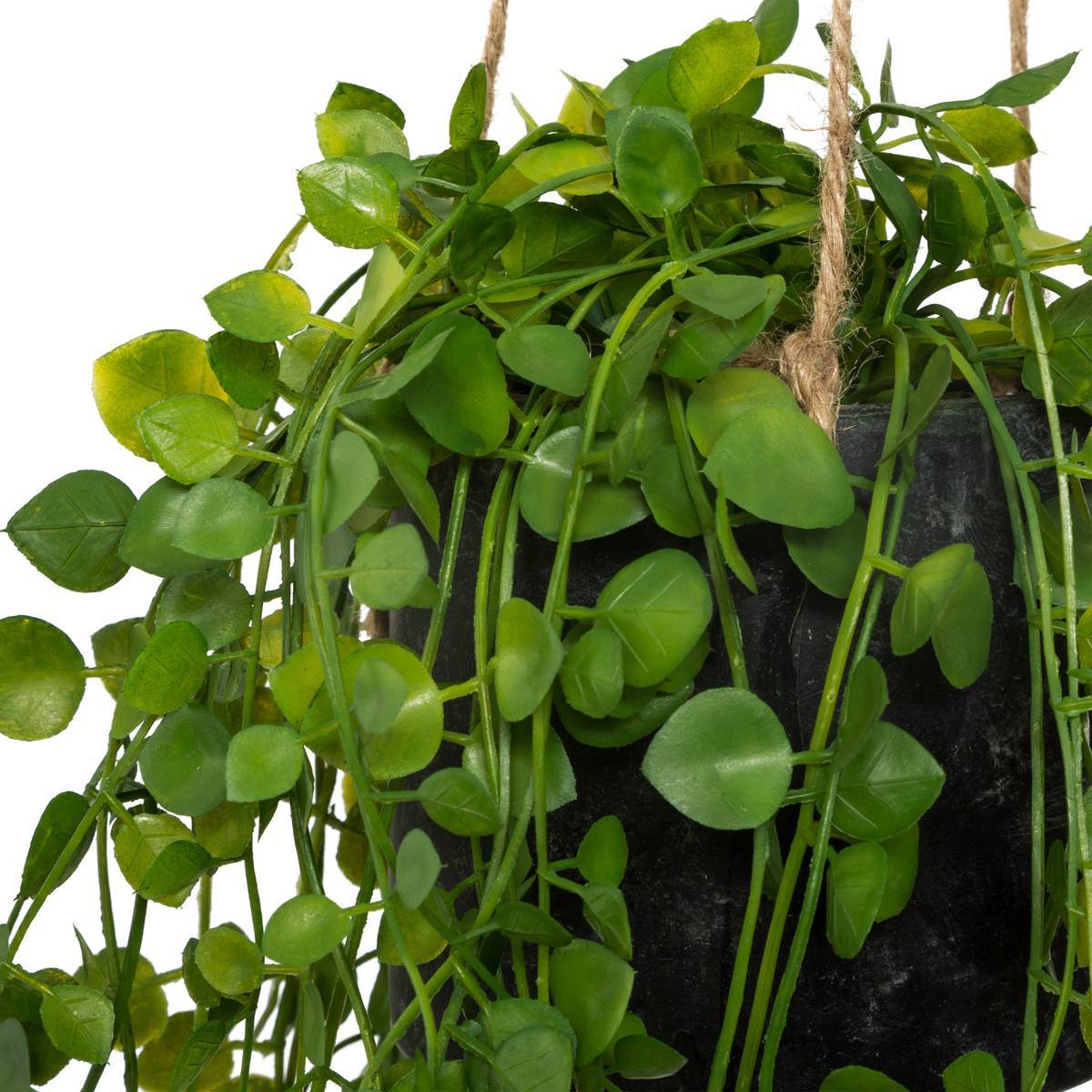 Atmosphera - Plante artificielle à suspendre "Living" pot ciment D10cm - Atmosphera Créateur d'intérieur - Image 2