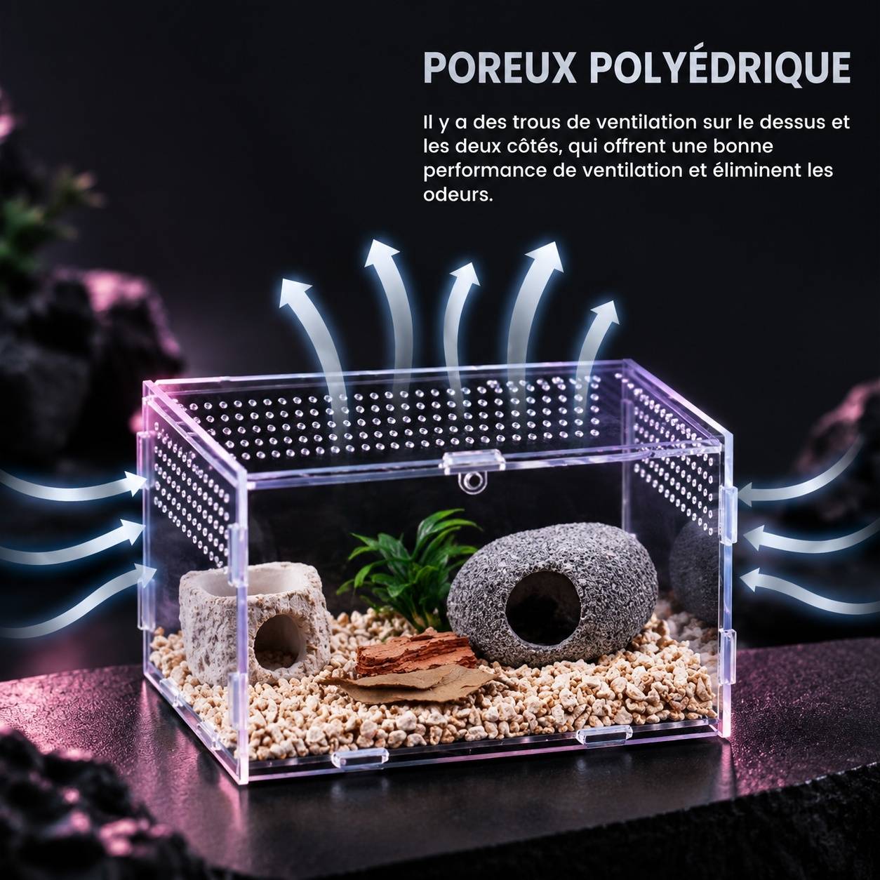 Boîte d'élevage pour reptiles acrylique transparente ventilée portable pour petits animaux rampants - Image 6