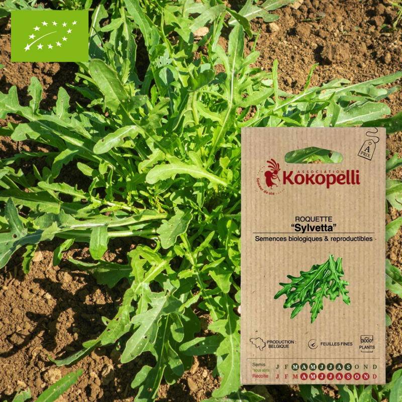 Graines bio à semer - Roquette Sylvetta- Association Kokopelli