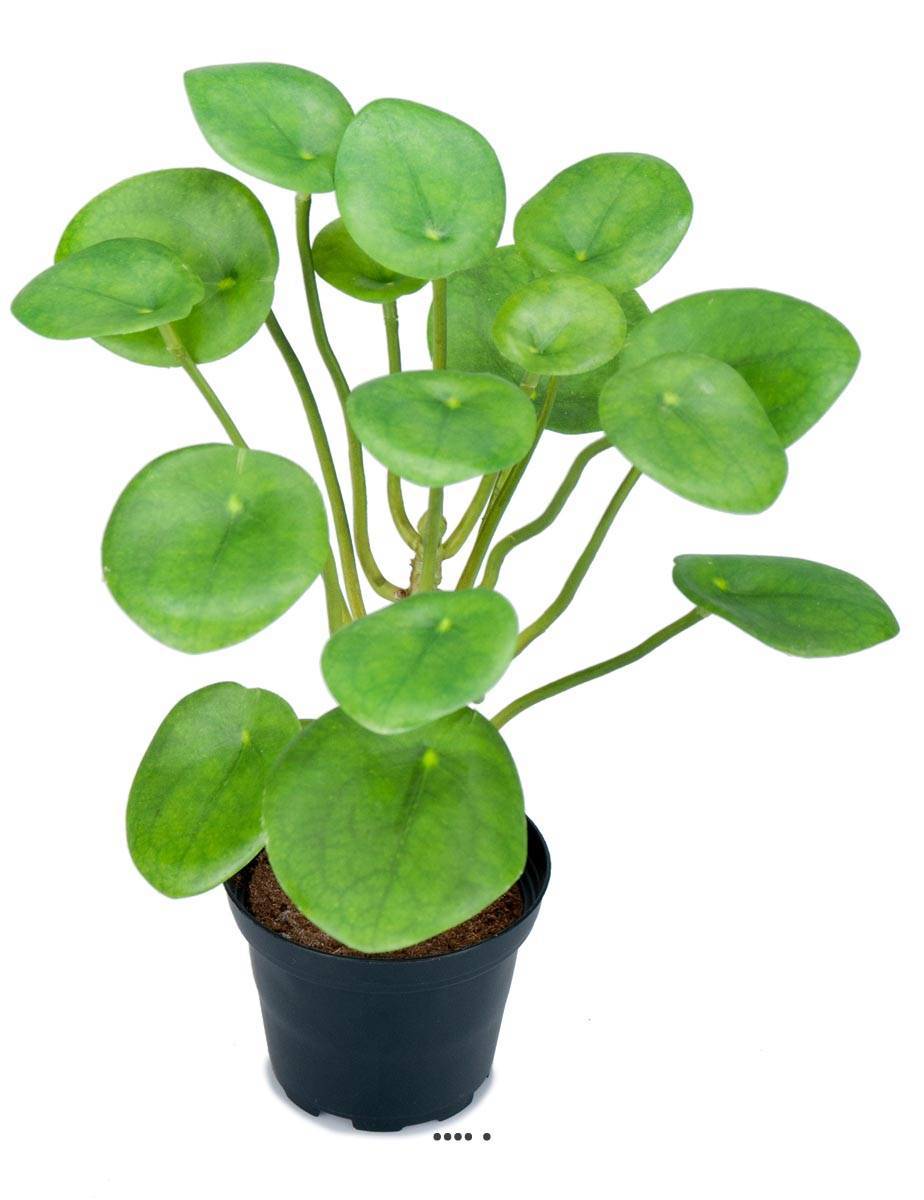 Artificielles - Plante Oreilles éléphant factice en pot H25cm D20cm feuille latex vert - Imagen 1