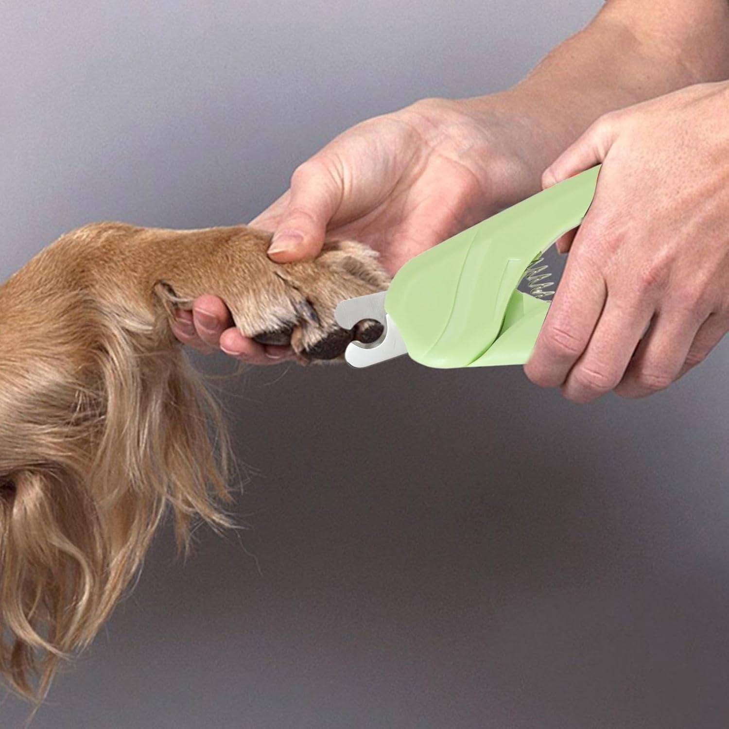 DtopbuyAge - Coupe-Ongles Pro pour Chien et Petit Animal DtopbuyAge - Image 3