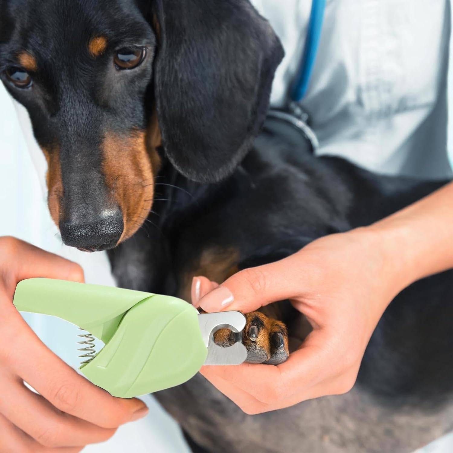 DtopbuyAge - Coupe-Ongles Pro pour Chien et Petit Animal DtopbuyAge - Image 2