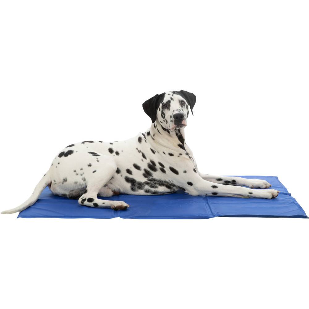Trixie - Trixie - Matelas rafraîchissant XXL 110 x 70 cm bleu pour chien