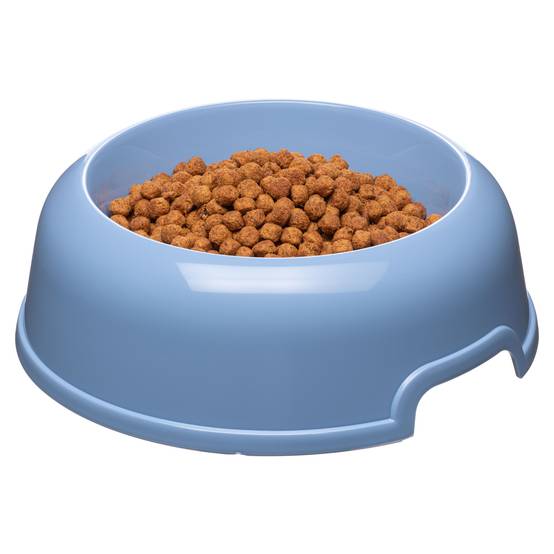 Ferplast - Ferplast Gamelle pour chien Party, antidérapante, facile à transporter, en plastique recyclé, durable, gamelle d'eau et de nourriture pour chien de - Imagen 2