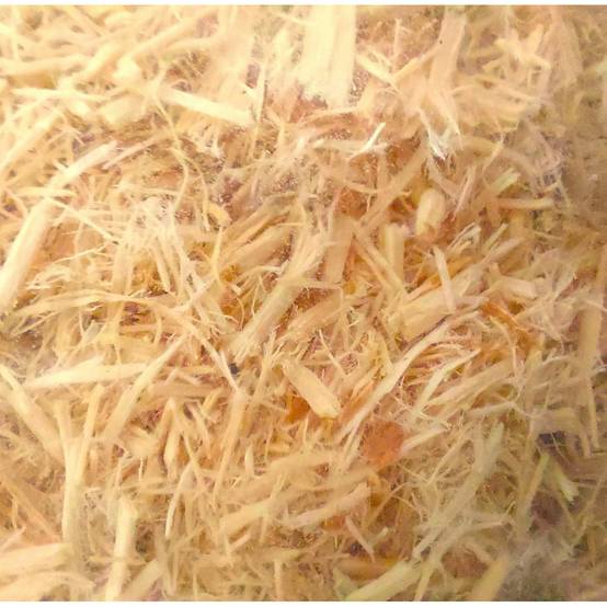 Zoomed - Litière pour serpents Aspen de Zoo Med de 26.4 litres - Imagen 3