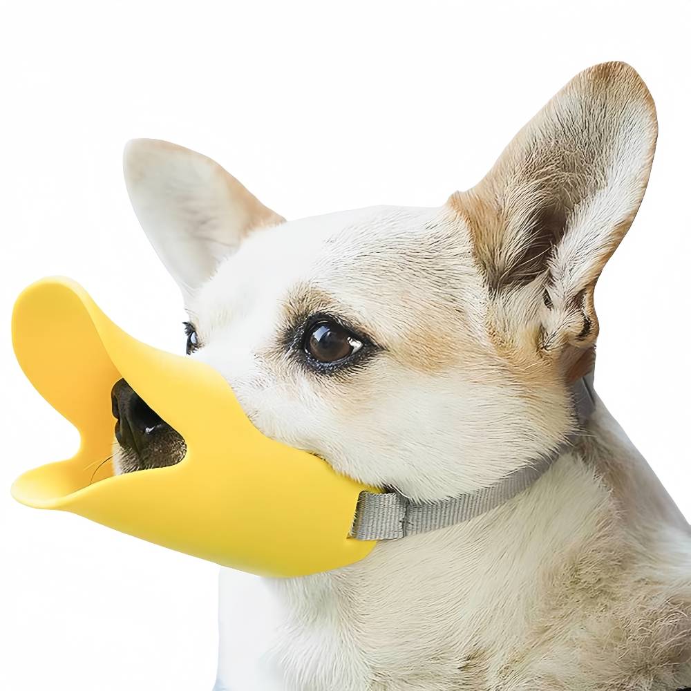 Muselière de chien jaune - IntiMeg