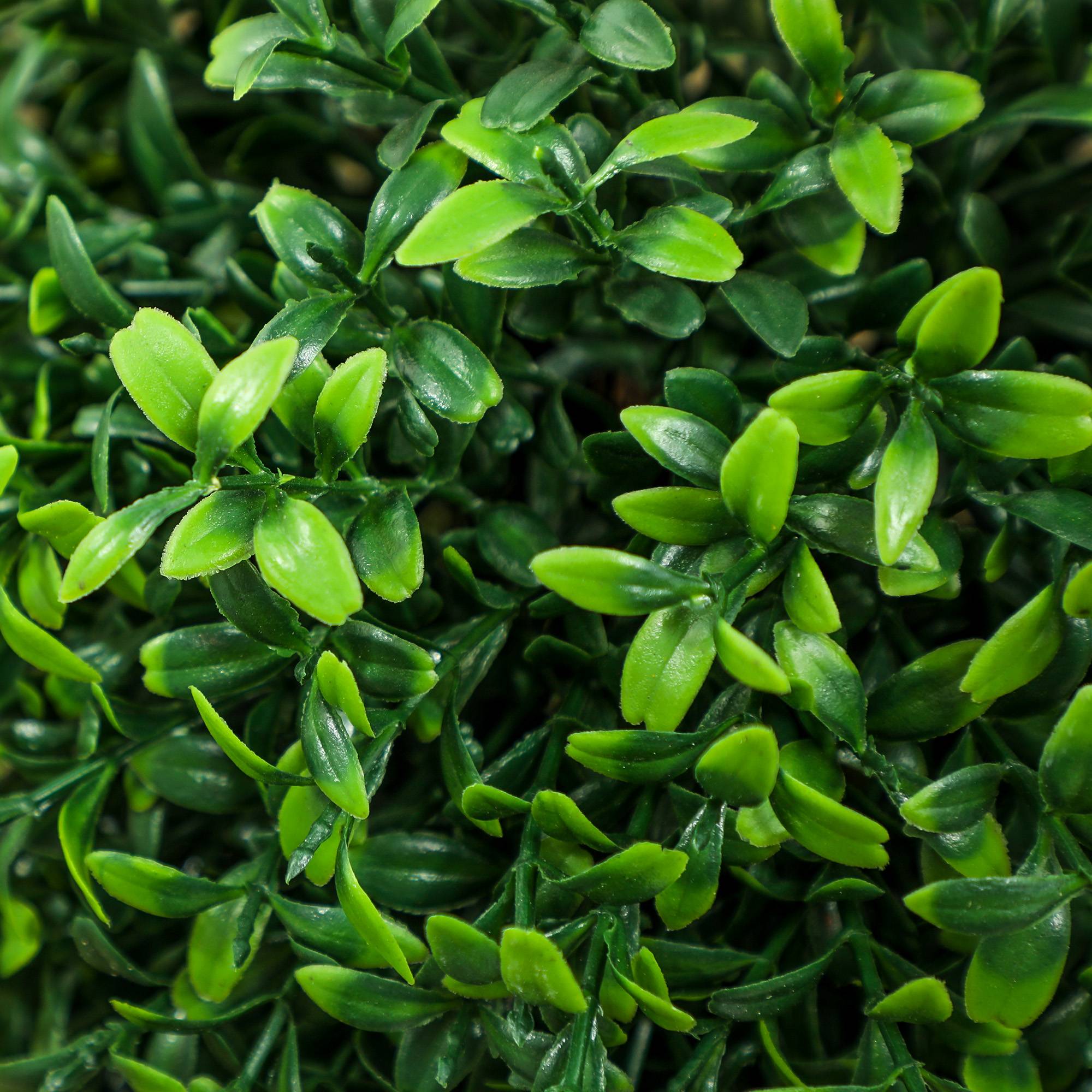 Lot de 2 plantes artificielles, buis, protégées UV, avec pot, vert - Image 10