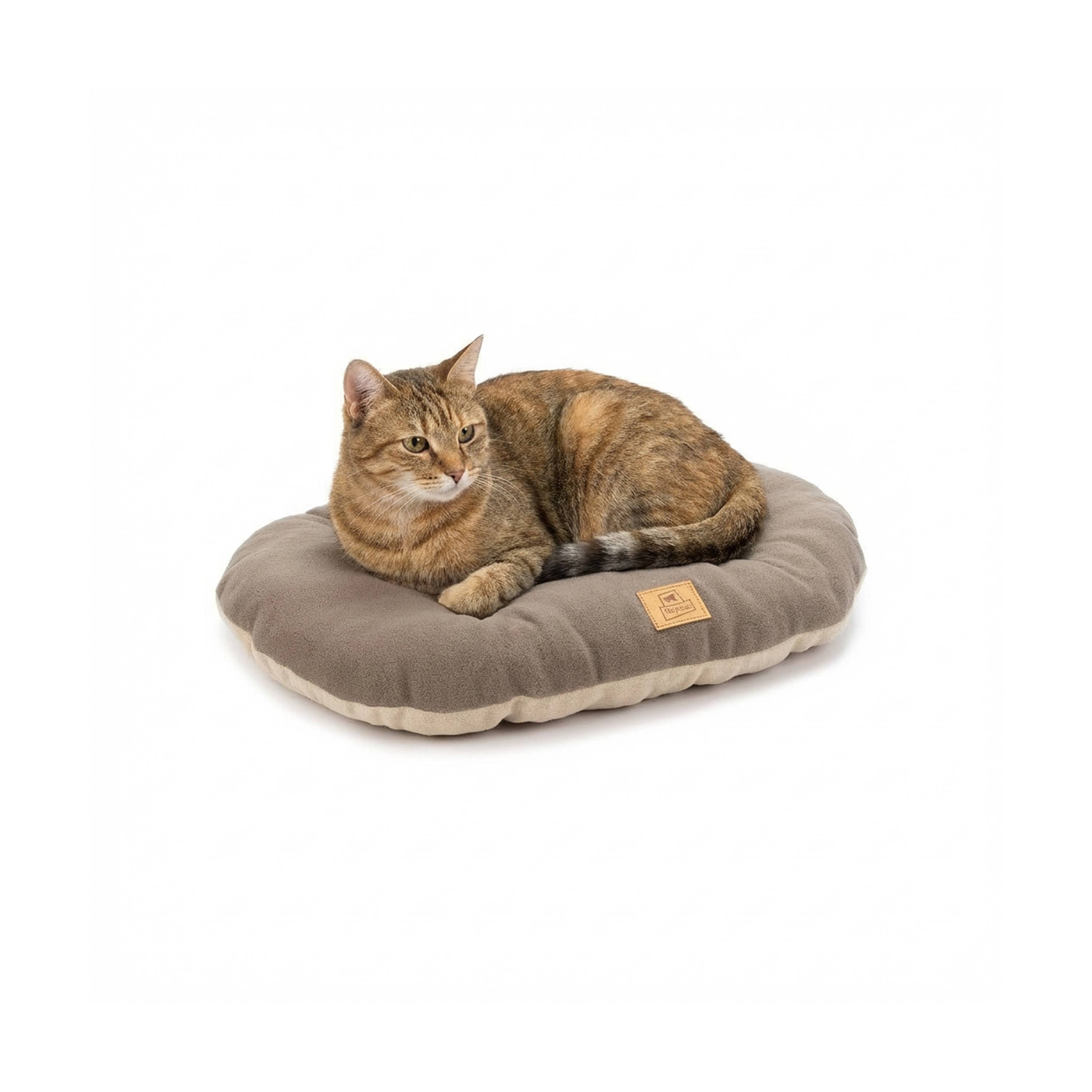 Ferplast - Ferplast Coussin Chien, Tapis Chien RELAX 55/4 MICROFLEECE, Coussin Chat, Lit pour Chiens Chats, Matelas Animaux, Coussin pour Panier Chien et Chat, - Imagen 6