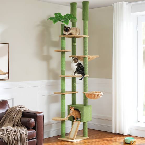 Arbre à Chat du Sol au Plafond Cactus Vert PAWZ Road - Image 4