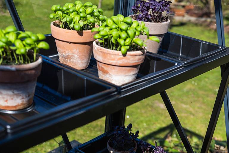 Halls - Halls Seed Tray Frame - 3 Tier - Black - Image 3