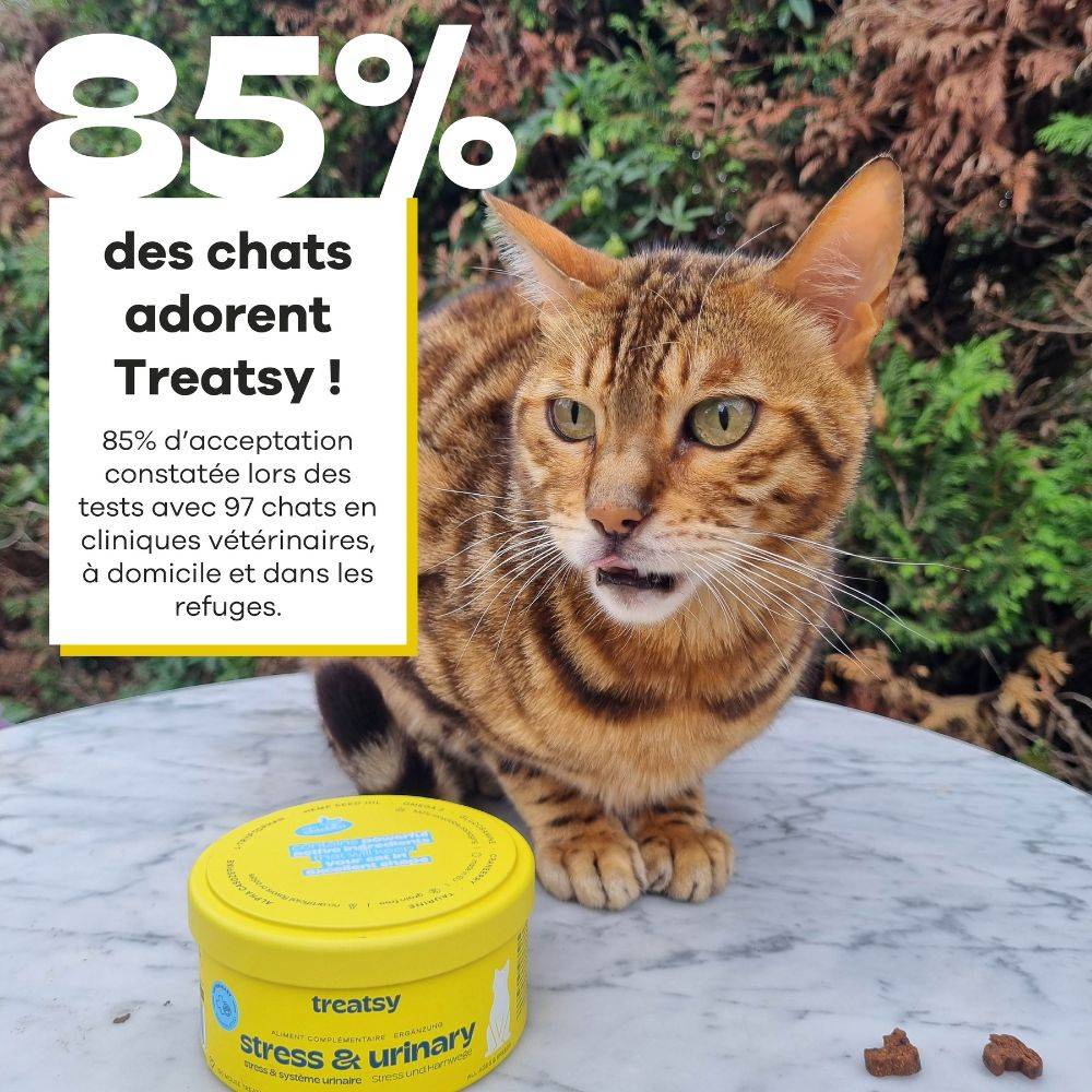Bouchées Stress & Urinaire Chat – Complément Anti-Stress & Cystite Idiopathique Féline (CIF) – L-Tryptophane, Oméga-3, N-Acetyl-D-Glucosamine-Treatsy - Image 8