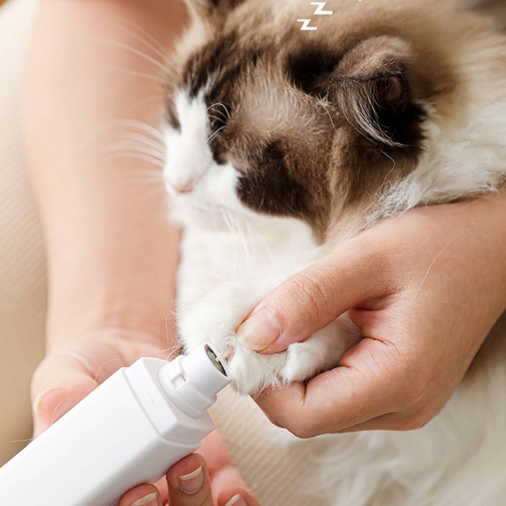 MCBOSON - Coupe ongles électrique rechargeable pour animaux - MCBOSON - Image 2