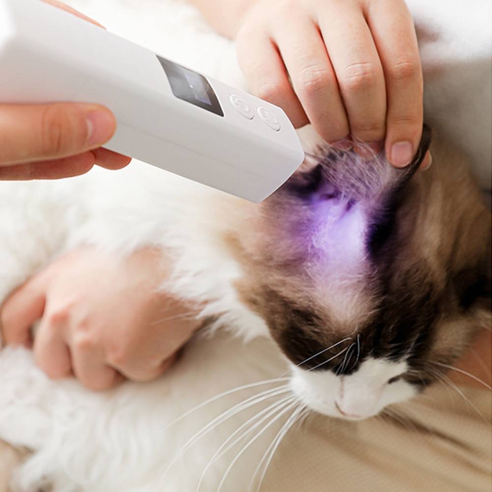MCBOSON - Coupe ongles électrique rechargeable pour animaux - MCBOSON - Image 5
