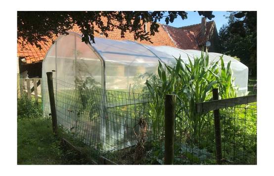 Serre tunnel de jardin - 18m² - 3 x 6 m - pieds droits - aérations latérales - 4 saisons - LES SERRES TONNEAU - Image 4