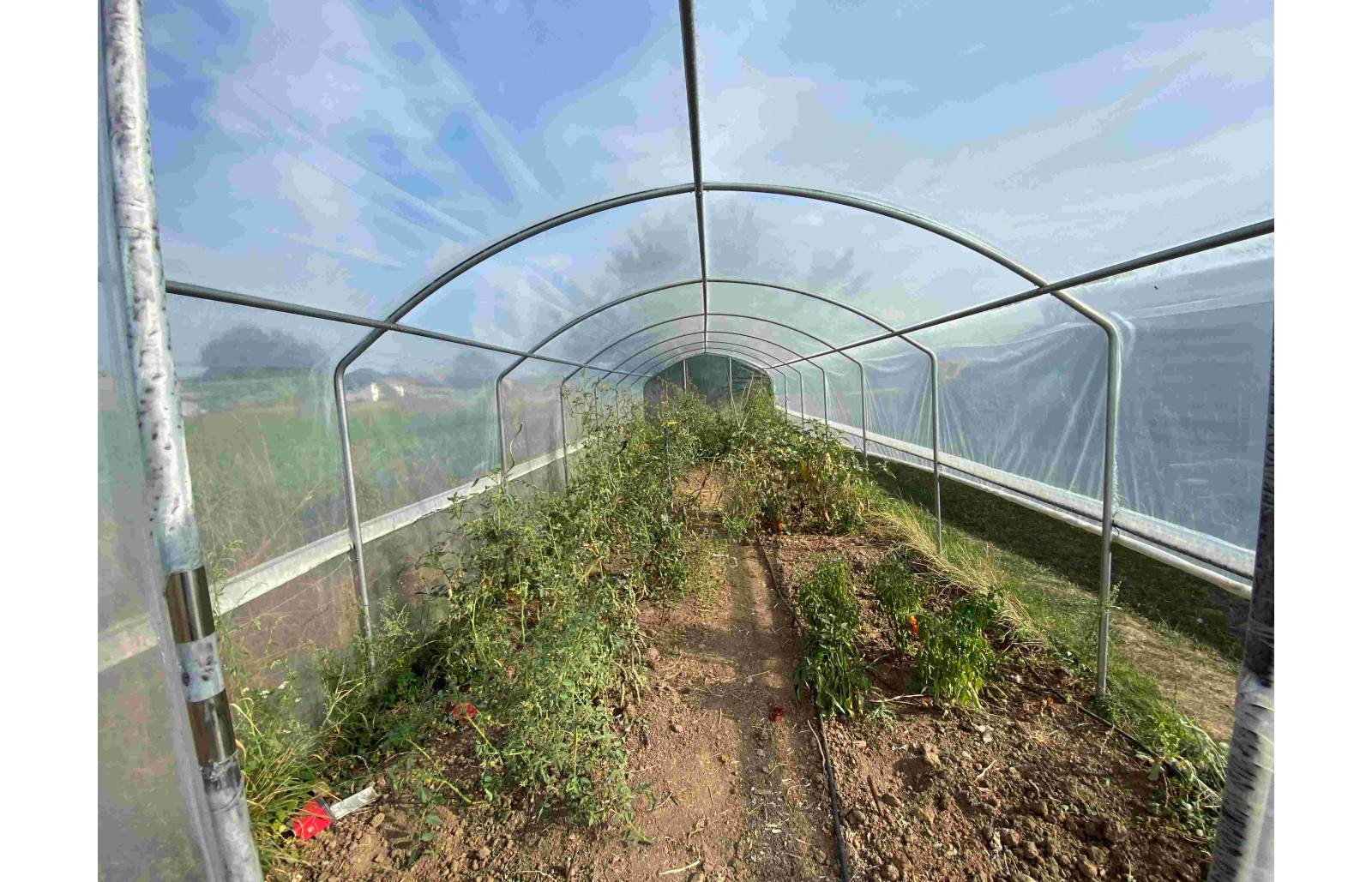 Serre tunnel de jardin - 18m² - 3 x 6 m - pieds droits - aérations latérales - 4 saisons - LES SERRES TONNEAU - Image 9
