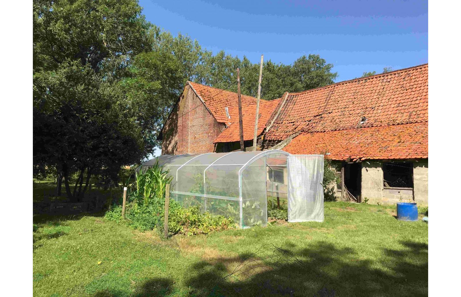 Serre tunnel de jardin - 18m² - 3 x 6 m - pieds droits - aérations latérales - 4 saisons - LES SERRES TONNEAU - Image 5