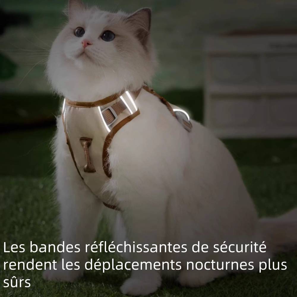 Harnais pour chien et chat xl - IntiMeg - Image 4