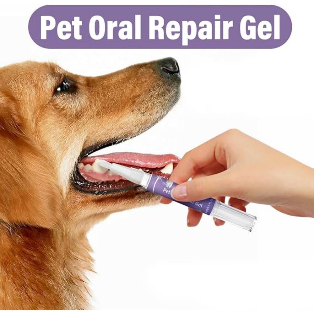 2 Pièces Gel Réparation Buccale pour Animaux - Image 5
