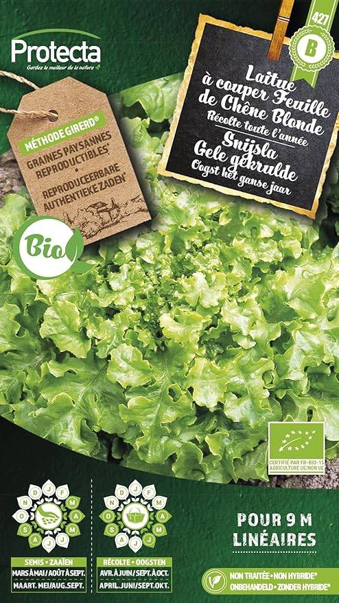 Protecta - Semence Laitue Feuille de Chêne BIO