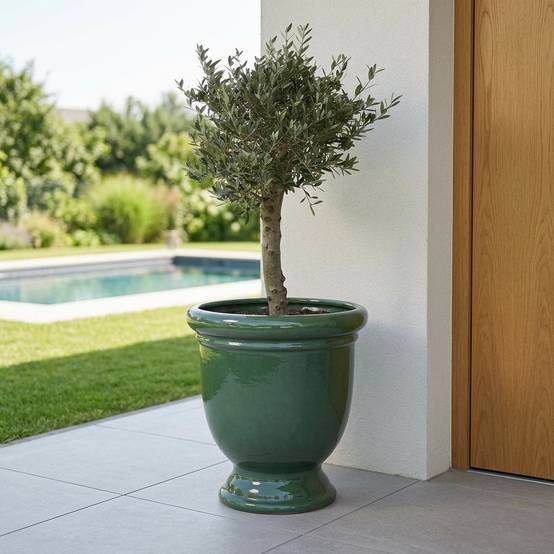 Lot olivier + pot TITAN 72x75cm jade, fait main en terre cuite émaillée - Image 2