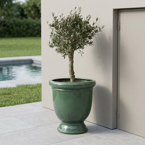 Lot olivier + pot TITAN 72x75cm jade, fait main en terre cuite émaillée - Image 4