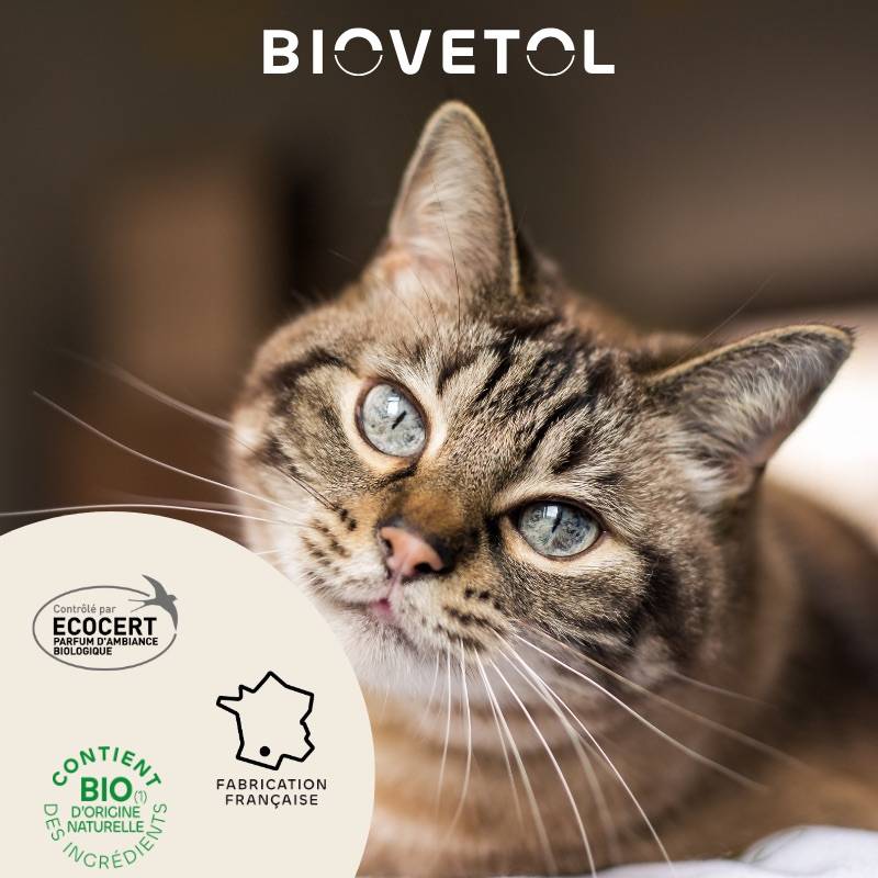 Lotion Destruct'urine BIOVETOL : chaton et chat BIOVETOL - Imagen 3