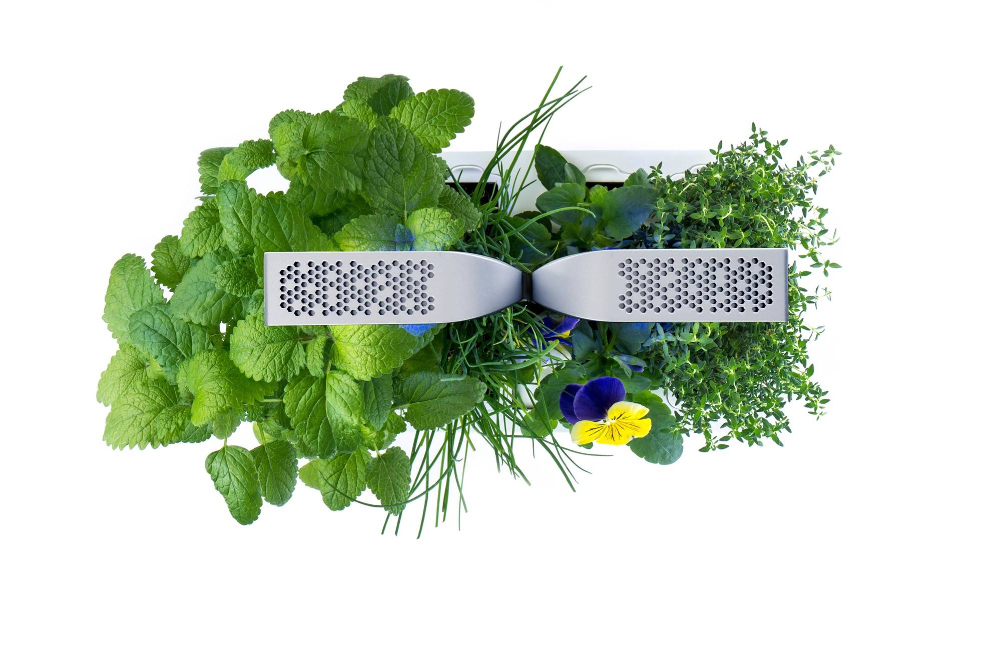 Veritable - Potager d'intérieur Autonome Véritable SMART Arctic White - Livré avec 4 Lingots - Véritable - Imagen 3