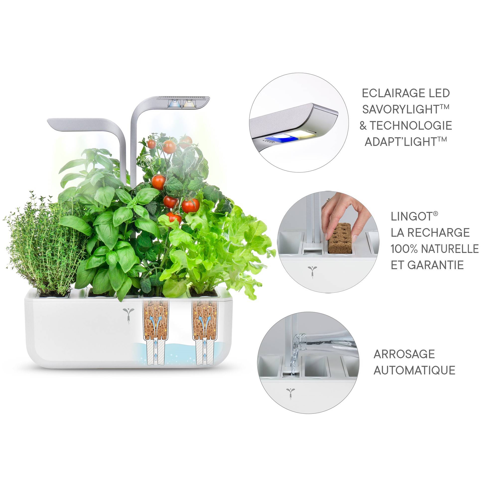 Veritable - Potager d'intérieur Autonome Véritable SMART Arctic White - Livré avec 4 Lingots - Véritable - Imagen 5