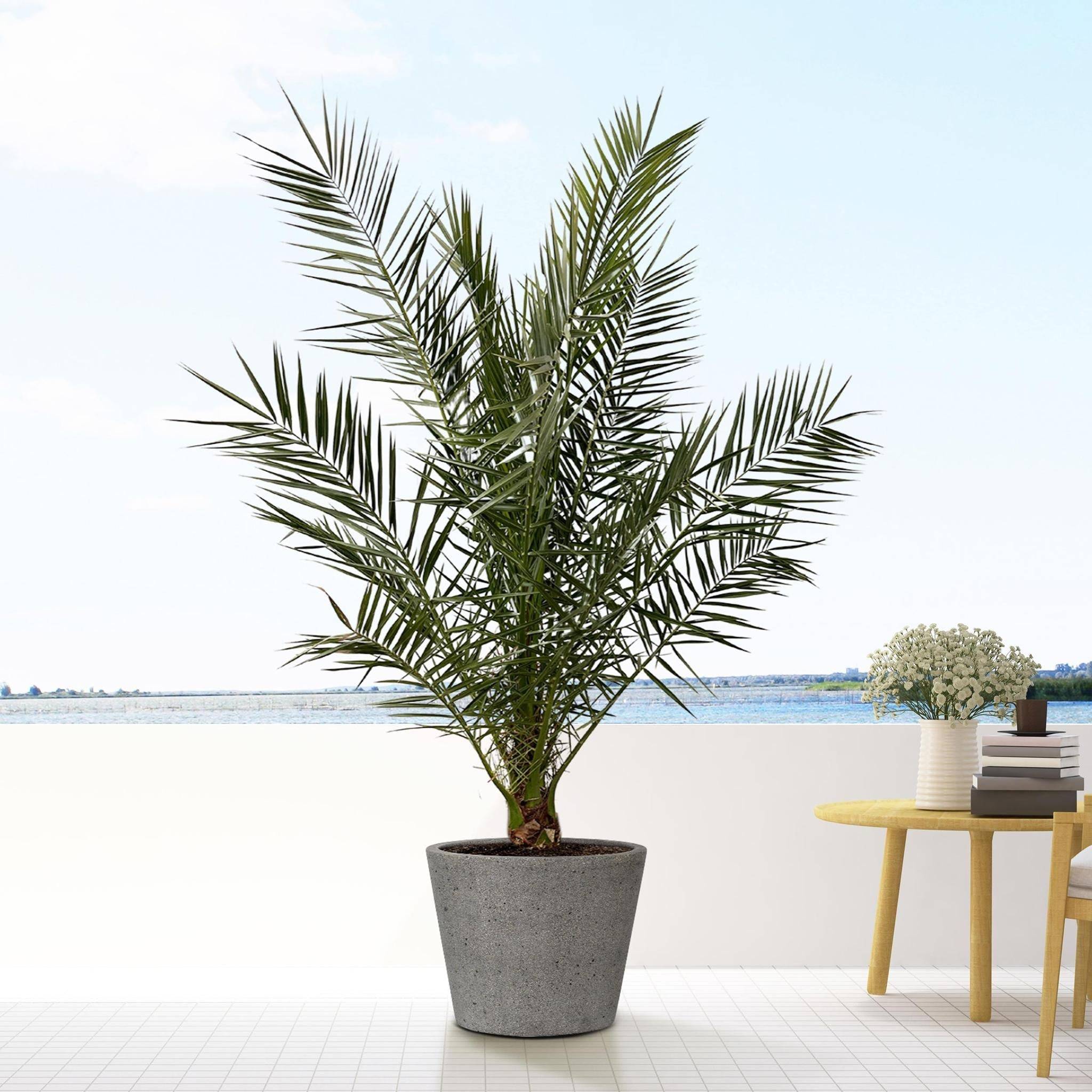 Pot Bucket Gris 58cm- La Green Touch - Image 2