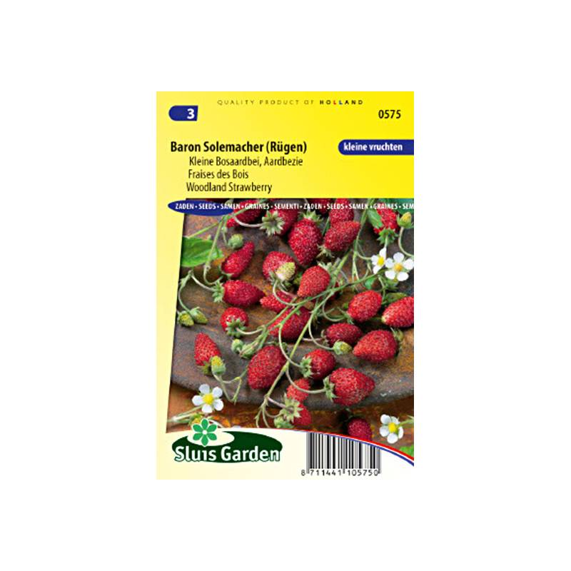 Fraises des Bois Baron Solemacher - Fraise des bois le sachet de 600 graines environ (0,2g)