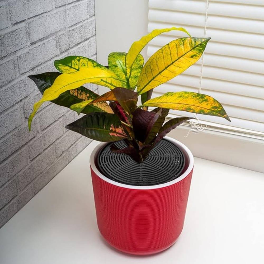 DtopbuyAge - Lot de 4 Protecteurs de Sol pour Pots Fleuris - Image 4