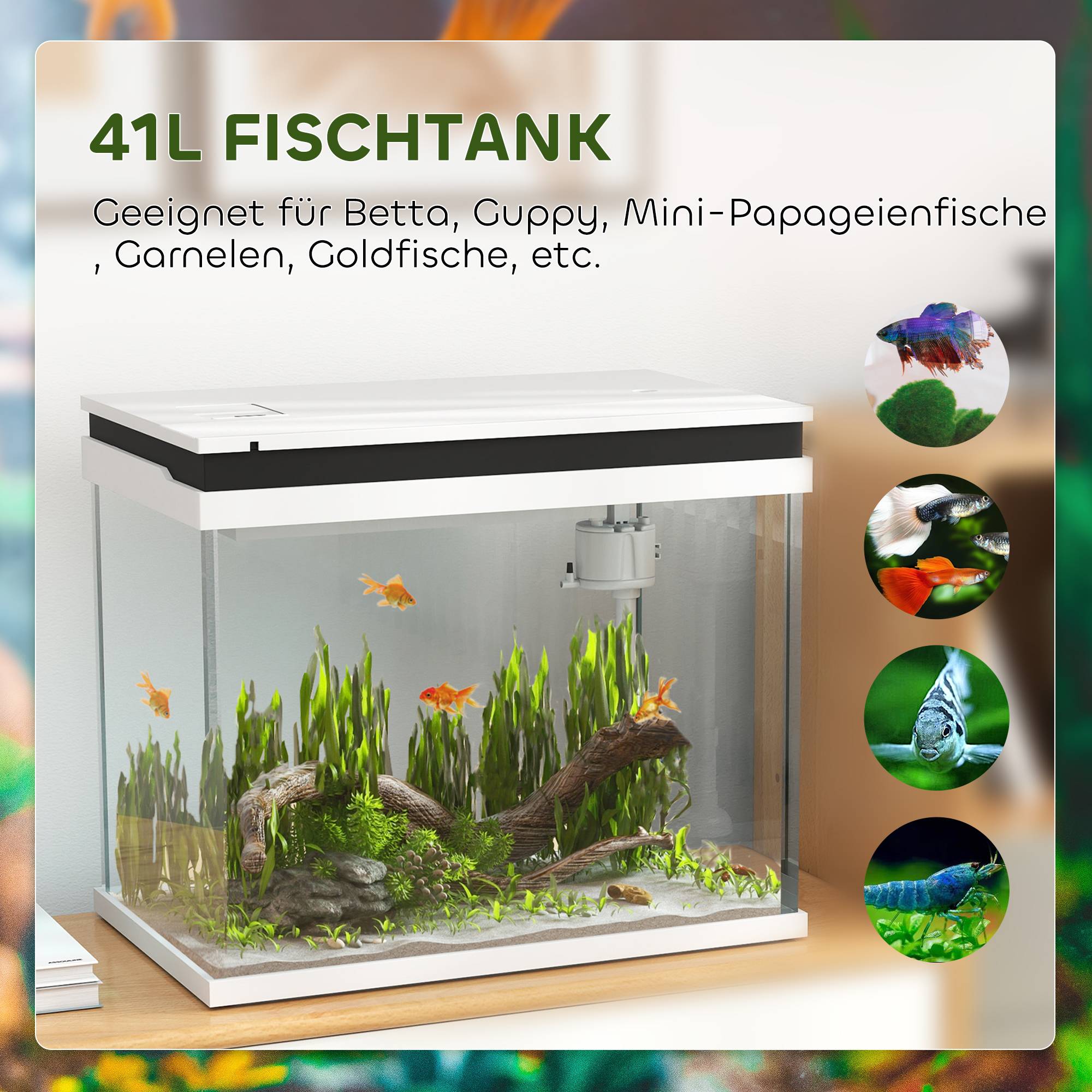 PANGIVO - Aquarium verre blanc 48 x 30 x 41 cm - PANGIVO - Image 5