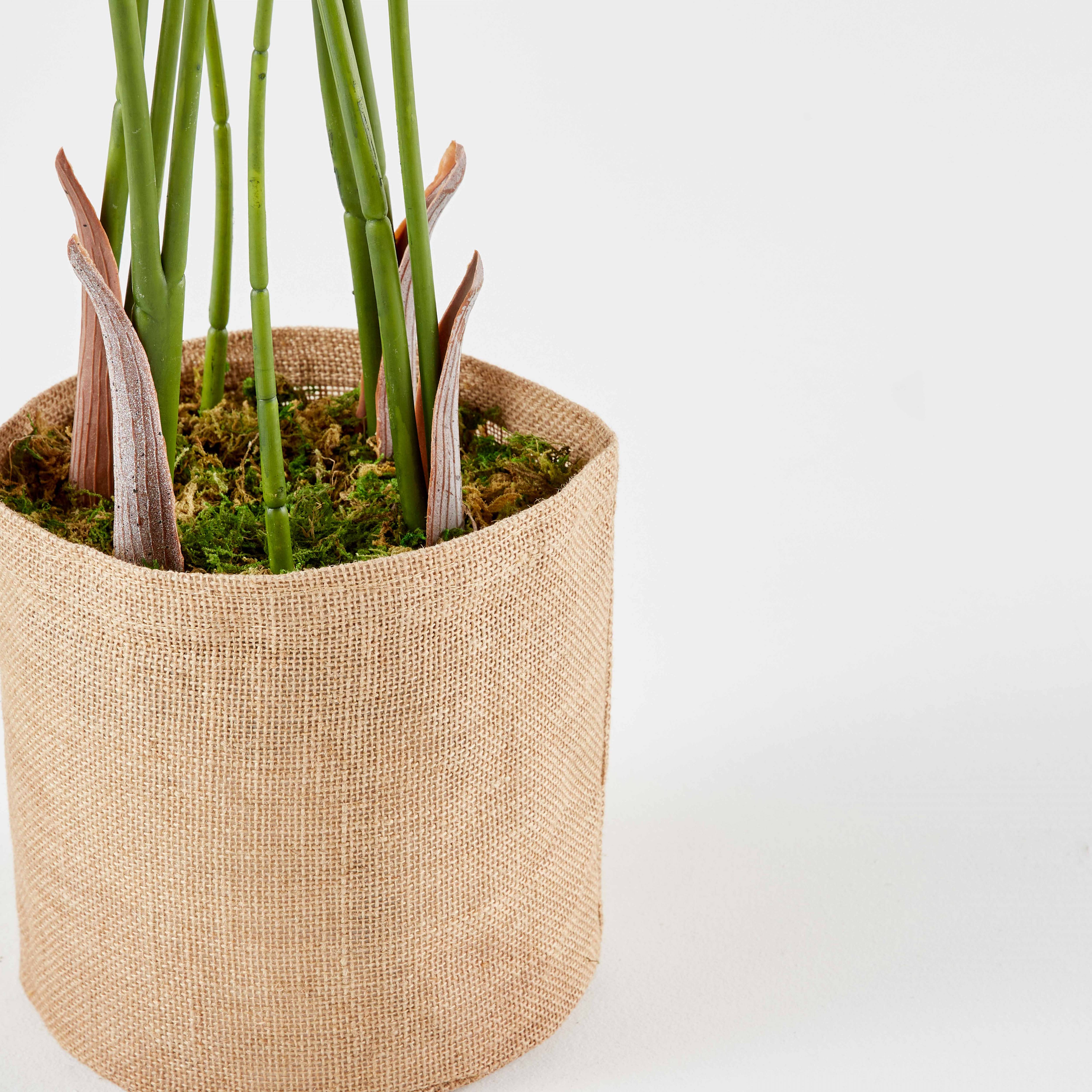 Oviala - Plante artificielle en pot Strelitzia 90 cm
- Oviala - Imagen 3