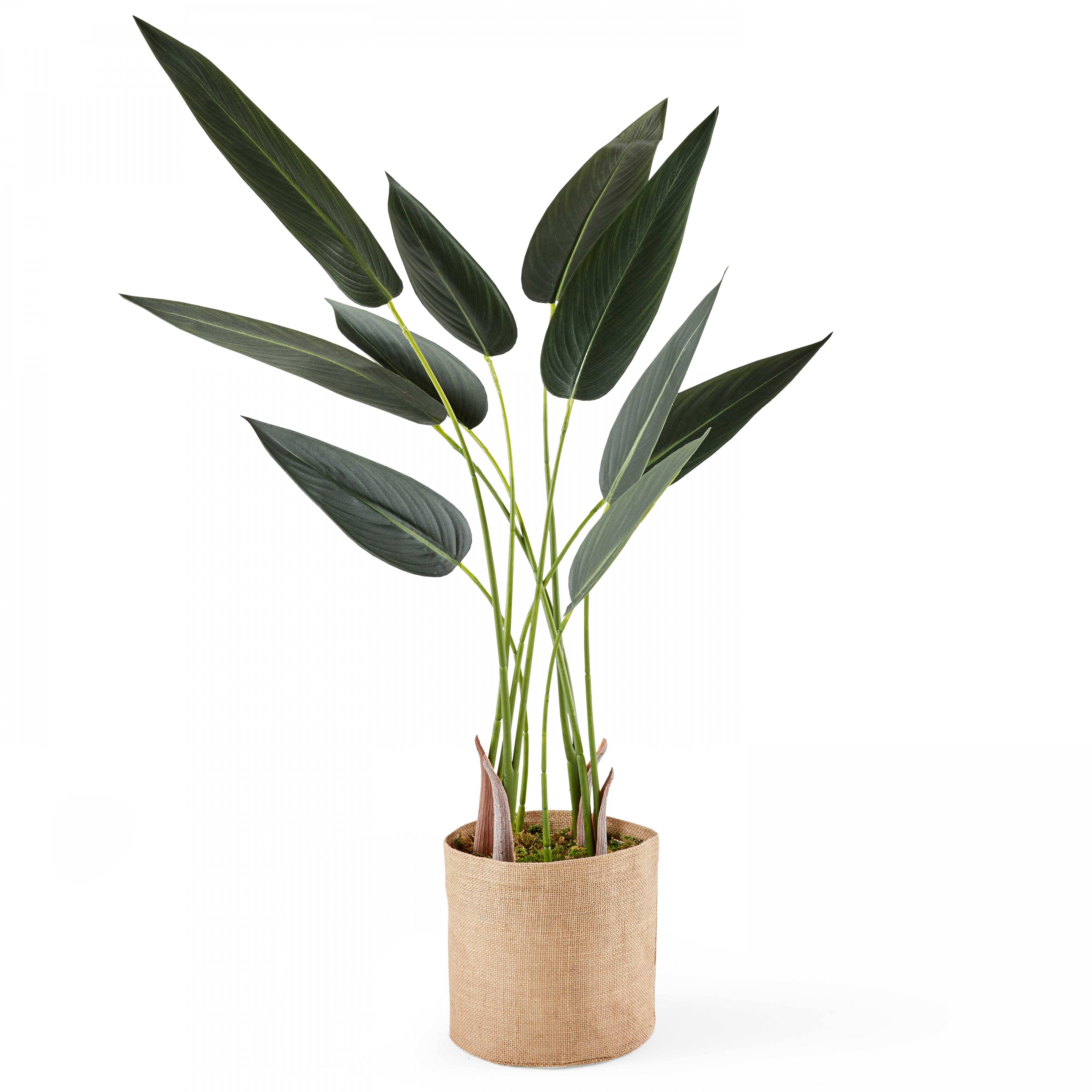 Oviala - Plante artificielle en pot Strelitzia 90 cm
- Oviala - Imagen 1